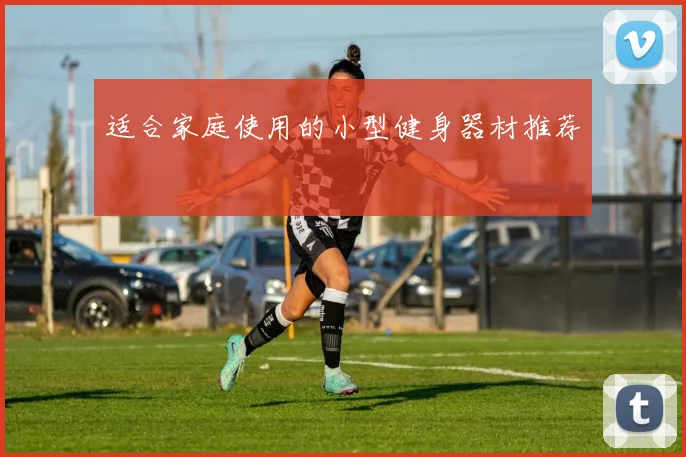 适合家庭使用的小型健身器材推荐